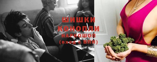 гидра Надым
