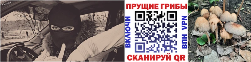 даркнет сайт  hydra вход  Галлюциногенные грибы Cubensis  Можга 